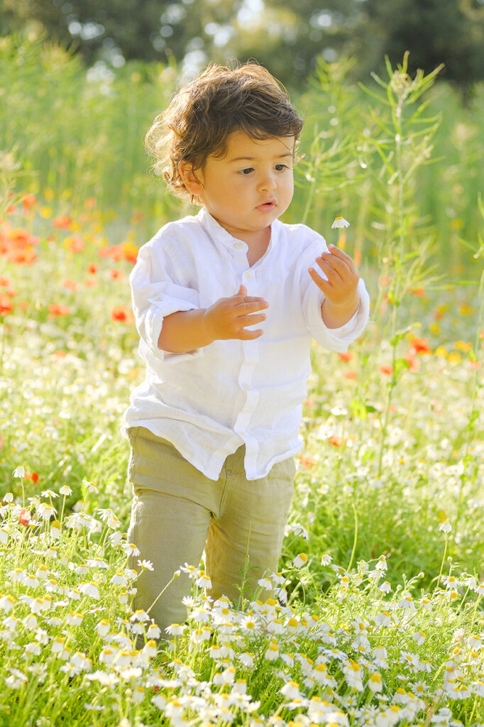 Image gallery image
